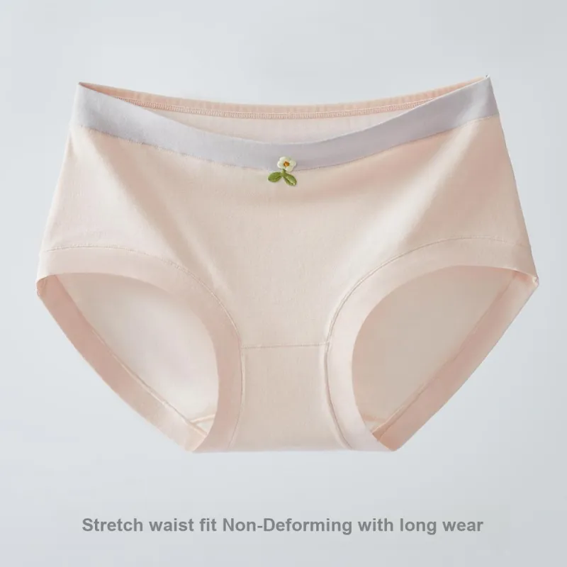Ordifen Underpants Women's 3 Pack-12