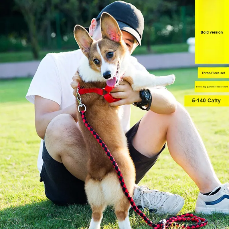 Kimpets Leashes-2
