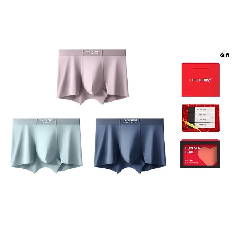 Cheekkiss Underpants Men's 3 Pack