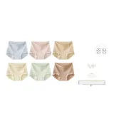 6A 라이트 블루+라이트 핑크+라이트 애프리콧+라이트 옐로우+청색+커피