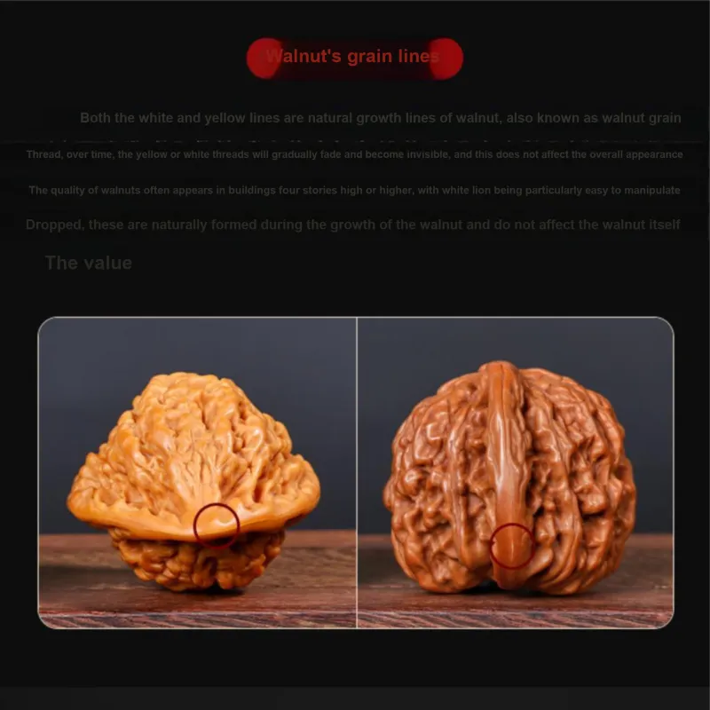 Master Kim Text Plays Walnuts Collectible Unisex-3